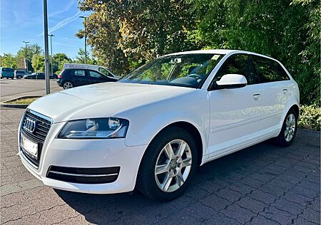 Audi A3 8P 1.4 TFSI Sportback (HU bis 08/2026)