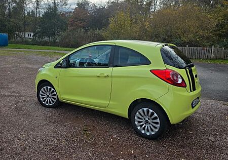 Ford Ka gebraucht kaufen Ford Ka /+ 1,2 Titanium Titanium