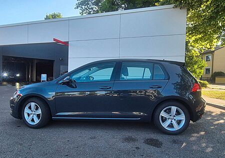 VW Golf Volkswagen 1.6 TDI 4Motion BlueMotion Comfortline