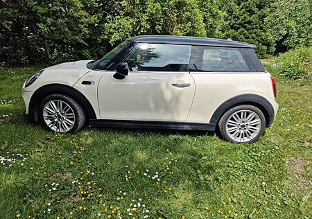 Mini Cooper D Cooper Automatik Klima Alu Sitzheizung