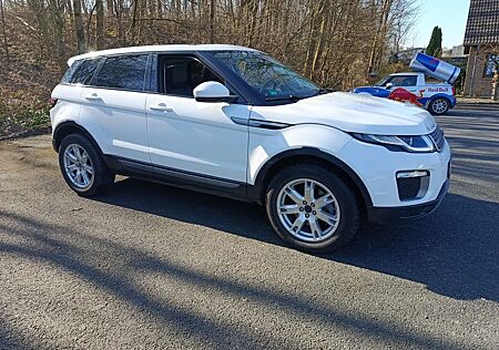 Land Rover Range Rover Evoque Pure*PANORAMA*AUT.*KLIMA*NAVI