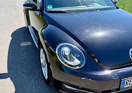 VW Beetle Volkswagen 1.4 TSI Leder Panorama Bi-Xenon SHZ Tempo