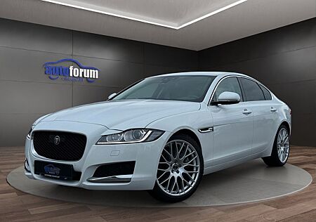 Jaguar XF Prestige ACC°LEDER°BI-XENON°TOTWINKEL°SPURH