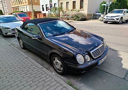 Mercedes-Benz CLK 230 CLK-Cabrio/230 K/HU11/26/Vollleder/PDC/SH/NSW