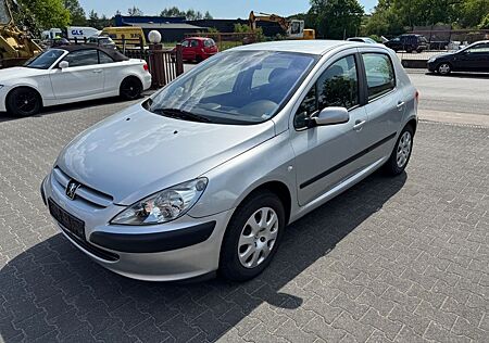 Peugeot 307 Grande Filou Cool Klima PDC