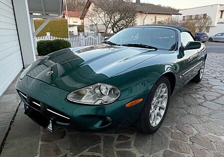 Jaguar XK8