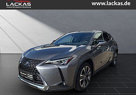 Lexus UX 250h STYLE*LED*ALLWETTER*GEPFLEGT*GARANTIE