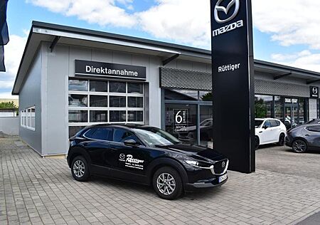Mazda CX-30 gebraucht kaufen Mazda CX-30 ``Homura`` *Automatik*