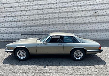 Jaguar XJS 5,3 V12 Coupe im Traumzustand