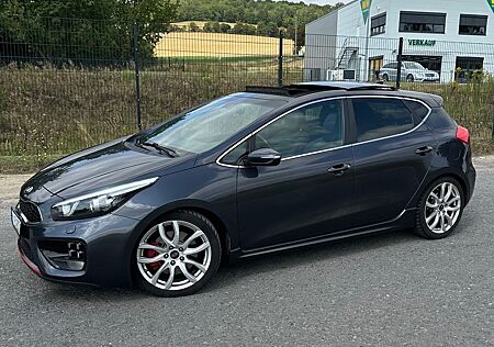 Kia Cee'd / Ceed 1.6 T-GDI GT-Track,204 PS Pano-Dach