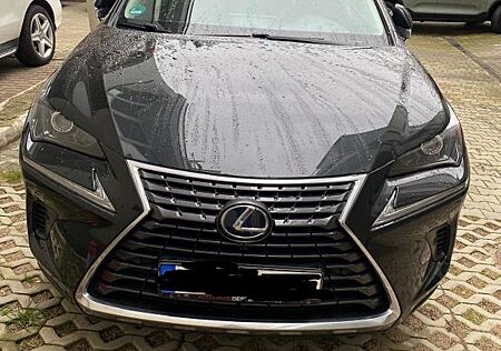 Lexus NX 300 300h Business Line Business Line