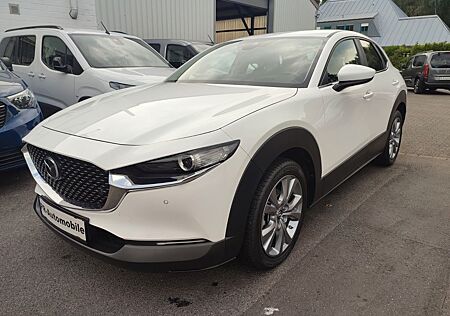 Mazda CX-30 Klimaaut/Navi+Cam/Alu18