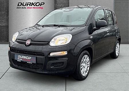 Fiat Panda (Pandina) Icon Hybrid Klimaanlage Parkpilo