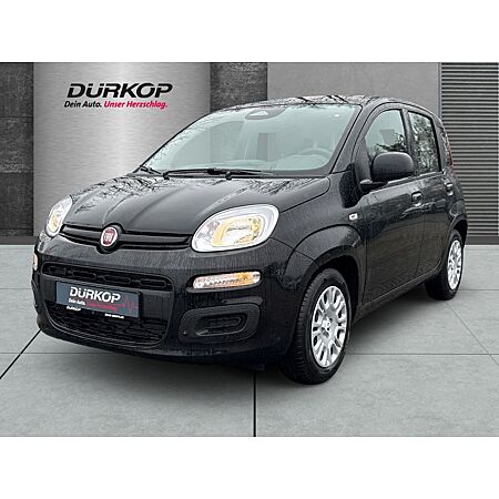 Fiat New Panda leasen