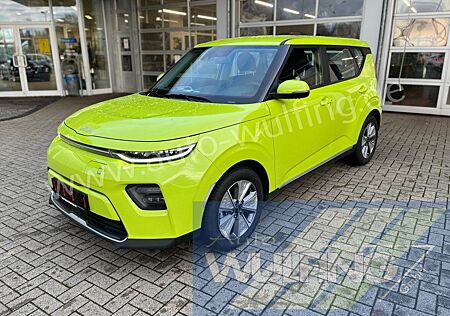 Kia Soul e- Autom. Edition 7 ACC Kamera LED-SW