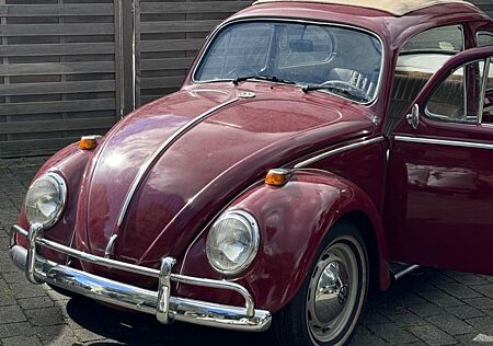 VW Käfer Volkswagen Faltdach 1969 TÜV bis 09/2026