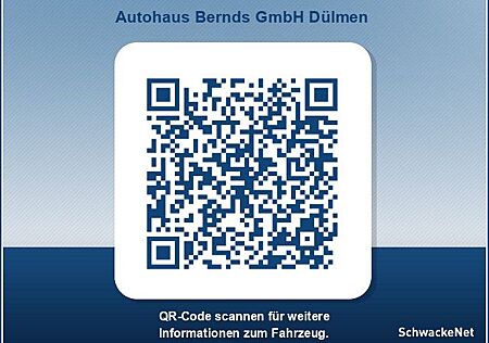 Dacia Bigster Hybrid 155 Journey NAVI SHZ LHZ 360°KAM