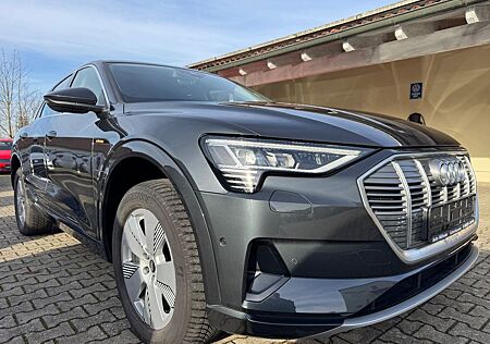 Audi e-tron 55 quattro Advanced AHK ACC LenkH Akustik