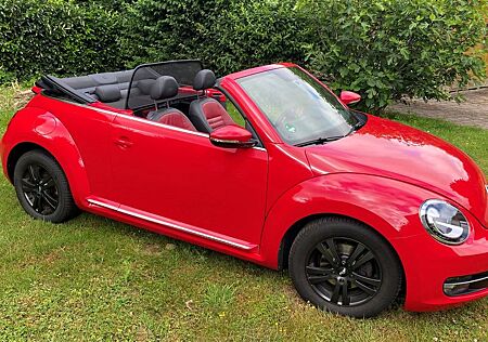 VW Beetle Volkswagen 1.2 TSI BMT Cabriolet -