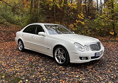 Mercedes-Benz E 500 4MATIC V8/TV/Nappaleder/AMG/Schiebedach