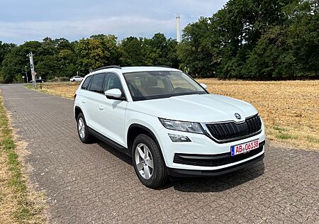 Skoda Kodiaq Ambition 4x4 *Automatik*
