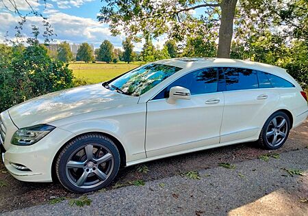 Mercedes-Benz CLS 350 Shooting Brake CLS 350 CDI Shooting ...