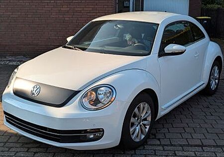 VW Beetle Volkswagen 2.0 TDI 81kW BMT CLUB CLUB