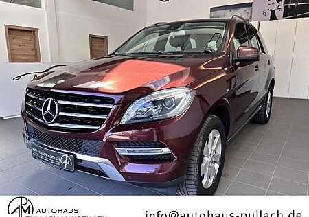 Mercedes-Benz ML 250 CDI DPF 4MATIC BlueTec Navi/AHK/EUR6