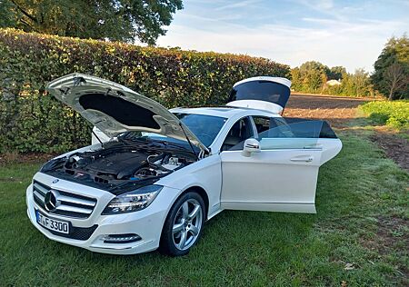 Mercedes-Benz CLS 350 Shooting Brake -