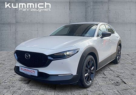 Mazda CX-30 NAGISA Navi PDC
