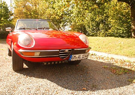 Alfa Romeo Spider gebraucht kaufen Alfa Romeo Spider 2000 Fastback