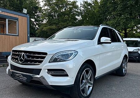 Mercedes-Benz ML 350 CDI, P-DACH, ST-HEIZUNG, S-HEFT