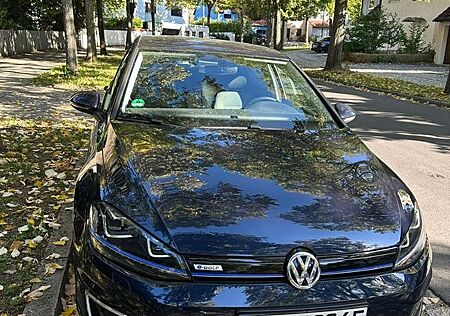 VW Golf Volkswagen e NAVI SHZ PDC 8-Fach