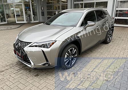 Lexus UX gebraucht kaufen Lexus UX 250h HYBRID Autom. Premium Plus Leder ACC