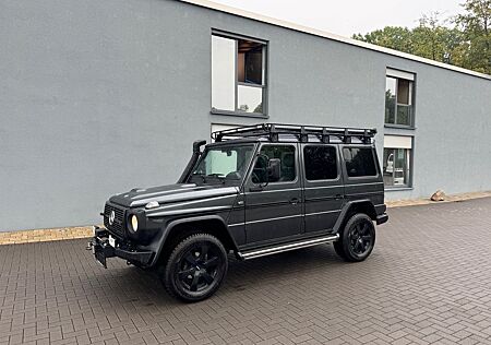 Mercedes-Benz G 300 CDI Professional Edition Pur