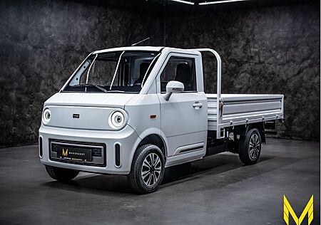 Andere TYN-e TX2 PRITSCHE:ZUKUNFT! ELEKTRISCH!