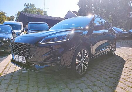 Ford Kuga ST-Line X Navi Standh. Panorama LED