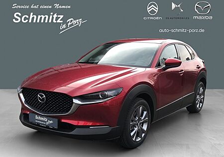 Mazda CX-30 Exclusive-Line HUD Navi Bose 360 Kamera LE