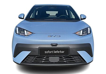 BYD DOLPHIN Surf Boost Link ACC Keyless Navi Kamera