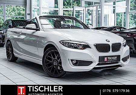 BMW 218 Cabrio SitzHz*PDC*Tempomat*Bluetooth*Breyton