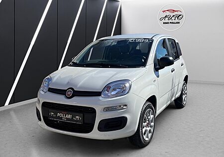 Fiat New Panda Easy Erdgas Klima 1 Hand