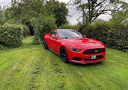 Ford Mustang US- 3.7 L V6
