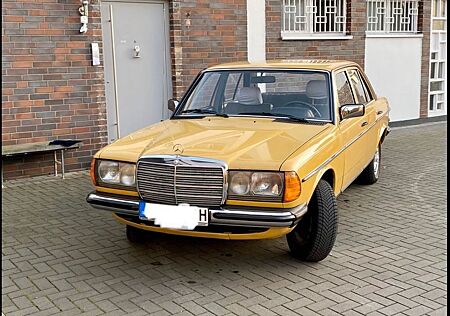 Mercedes-Benz 300 Mercedes W123, 300Diesel, H-Zul. Mit orig. Nivo