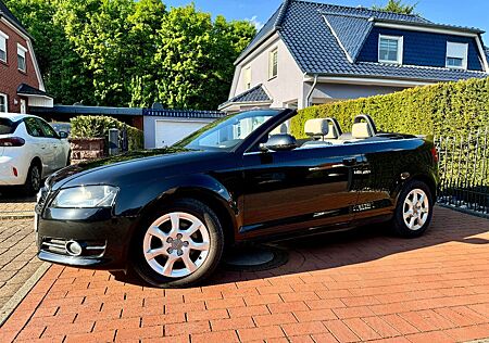 Audi A3 Cabriolet / Sehr gepflegt / SHZ / Klima