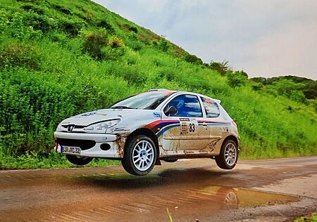 Peugeot 206 RC 180 RC Rallyefahrzeug