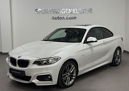 BMW 220d Coupe M Paket H&K Schiebedach Automatik