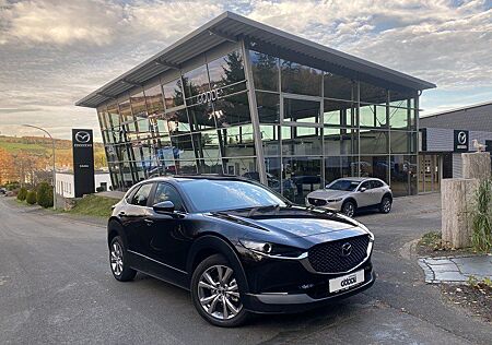 Mazda CX-30 122 PS Selection GARANTIE *Allwetter*