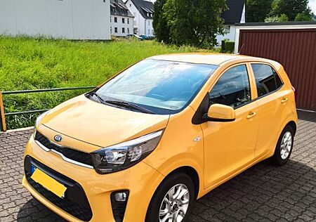 Kia Picanto Dream Team Edition 1.0 TÜV Neu Navi SHZ