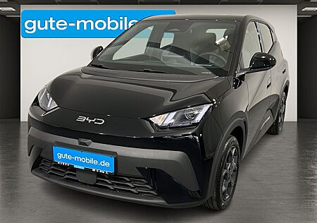 BYD DOLPHIN Surf Boost ACC | KAMERA | LEDER