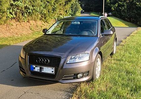 Audi A3 1.6 TDI | TÜV NEU| AGR+Zahnriemen |
